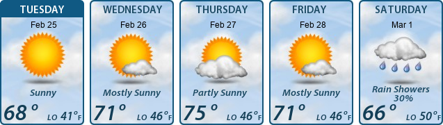 5-Day Forecast