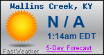 Weather Forecast for Wallins Creek, KY